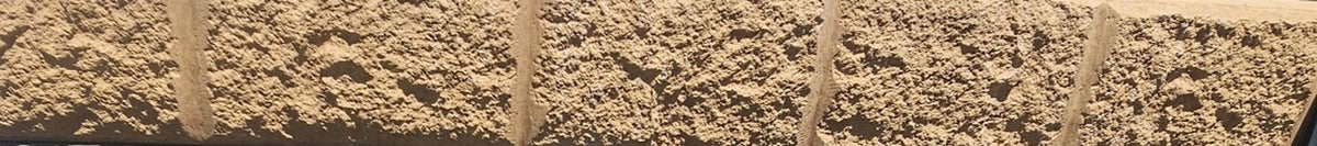 Concrete Sleeper - Sandstone Block Paperbark - finish close-up